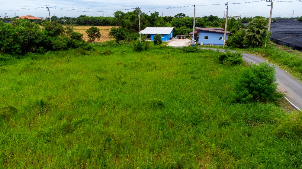 ขายที่ดิน ถนนเลียบคลองตาแดง ซอยประชาร่วมใจ บ้านใหม่, บางใหญ่ นนทบุรี