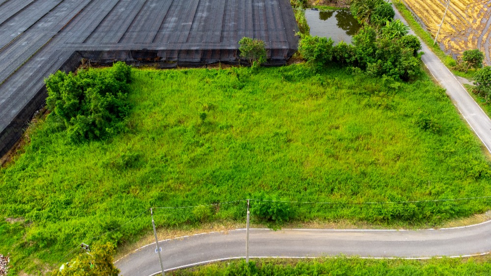 ขายที่ดิน ถนนเลียบคลองตาแดง ซอยประชาร่วมใจ บ้านใหม่, บางใหญ่ นนทบุรี