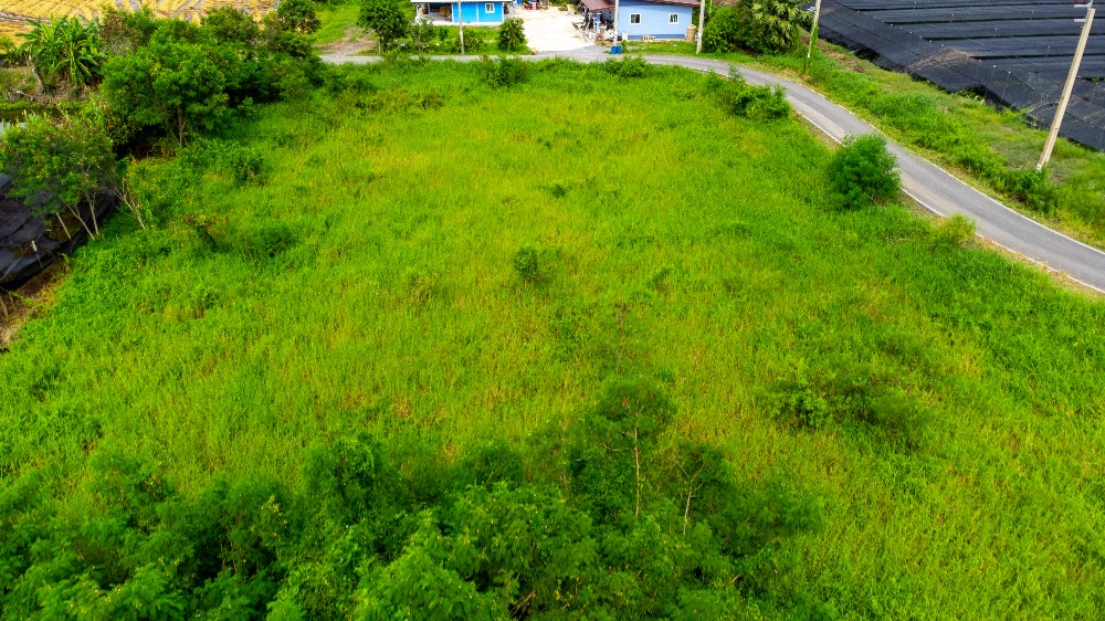 ขายที่ดิน ถนนเลียบคลองตาแดง ซอยประชาร่วมใจ บ้านใหม่, บางใหญ่ นนทบุรี