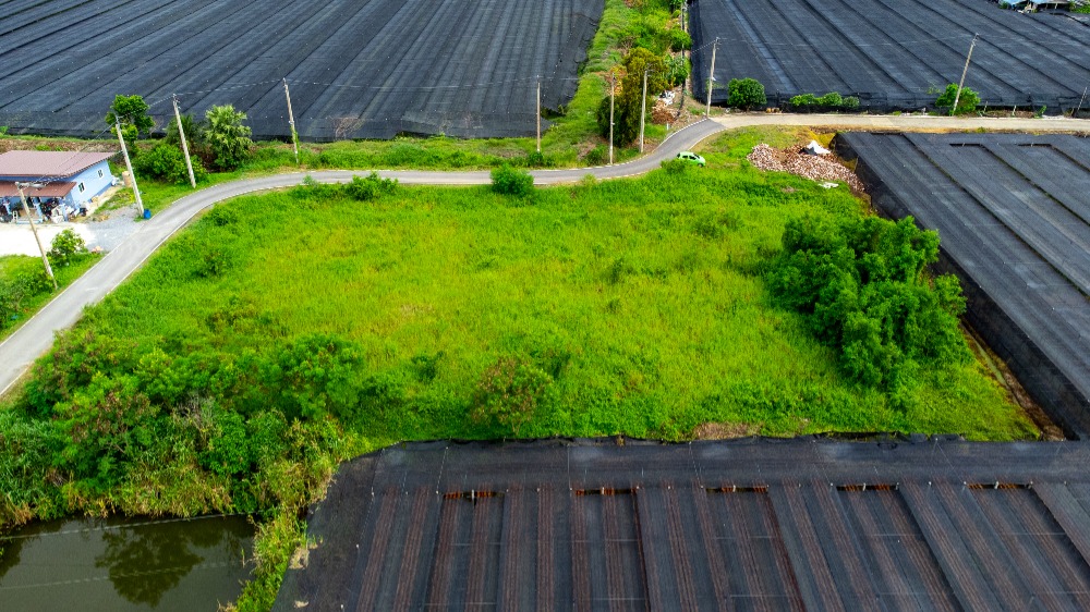 ขายที่ดิน ถนนเลียบคลองตาแดง ซอยประชาร่วมใจ บ้านใหม่, บางใหญ่ นนทบุรี