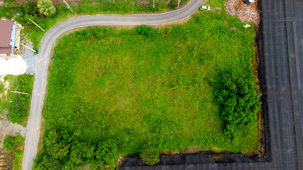 ขายที่ดิน ถนนเลียบคลองตาแดง ซอยประชาร่วมใจ บ้านใหม่, บางใหญ่ นนทบุรี