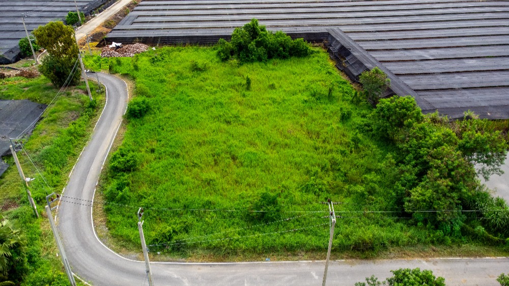 ขายที่ดิน ถนนเลียบคลองตาแดง ซอยประชาร่วมใจ บ้านใหม่, บางใหญ่ นนทบุรี