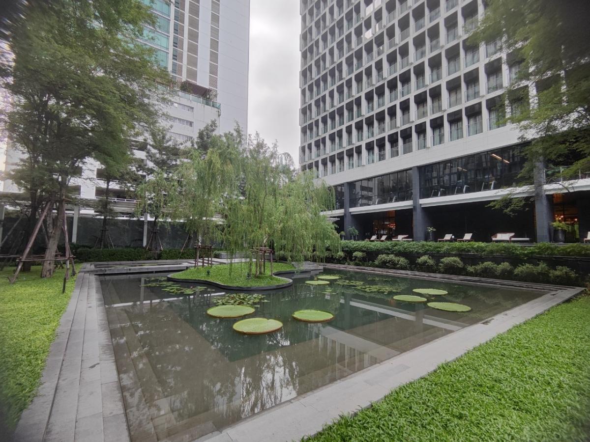 เช่า Noble Ploenchit (โนเบิล เพลินจิต)ห้องมุม  1 ห้องนอน 1 ห้องน้ำ